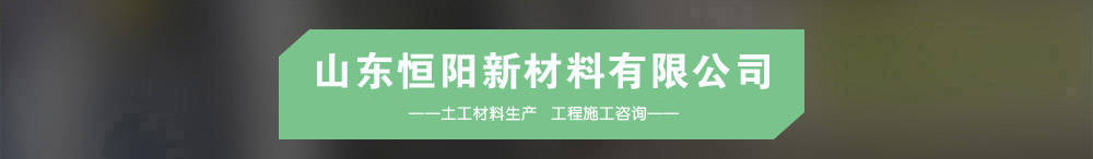 山东恒阳新材料有限公司介绍